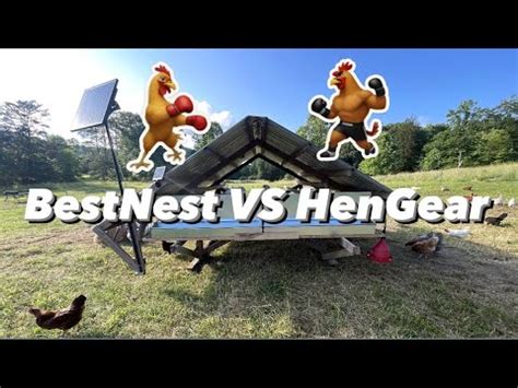 round metal nest box|best nest box vs hengear.